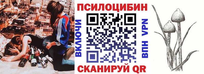 Купить  Якутск  Псилоцибиновые грибы Psilocybine cubensis 